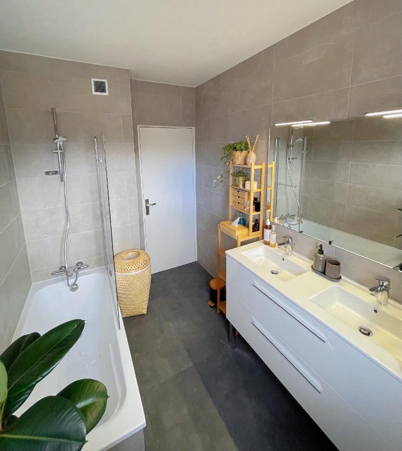 Appartement Tres Cosy A 5 Min Aeroport Geneve Ferney-Voltaire Exterior foto