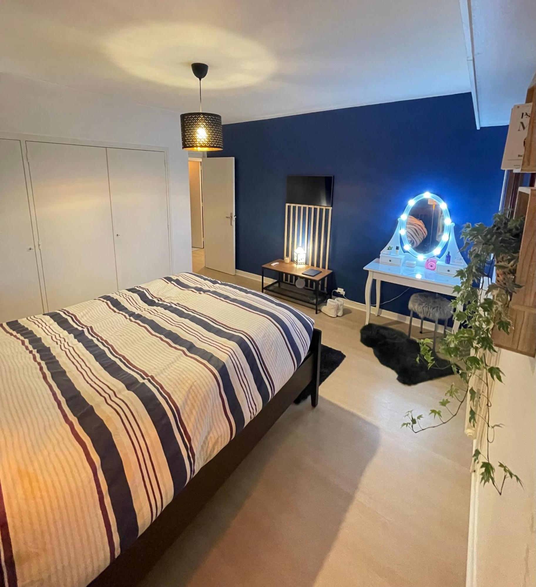 Appartement Tres Cosy A 5 Min Aeroport Geneve Ferney-Voltaire Exterior foto